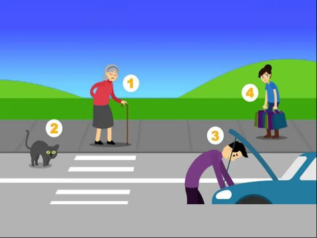 TEST VISUAL | Esta imagen te muestra a una anciana, un gato, un hombre y una mujer. Todos necesitan la ayuda de alguien. Tú debes indicar a quién le darías la mano primero. (Foto: namastest.net)
