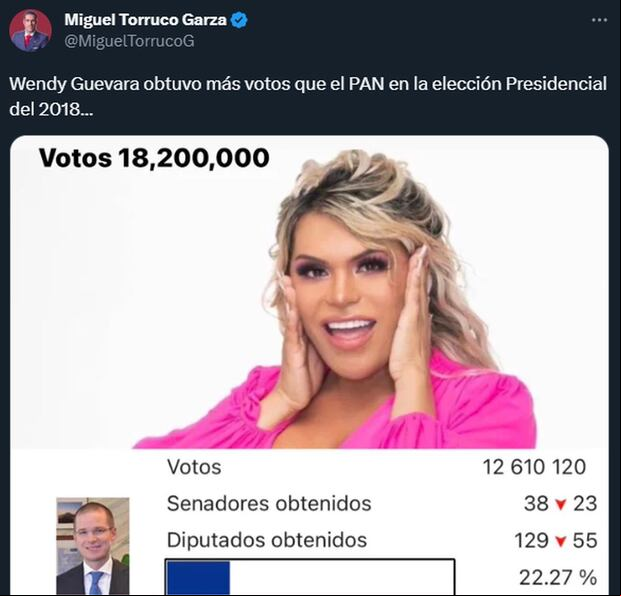 El post del diputado Torruco (Foto: Miguel Torruco Garza / Twitter)