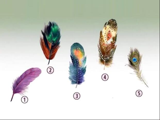 TEST VISUAL | Esta imagen te muestra cinco plumas. Debes escoger una. (Foto: namastest.net)