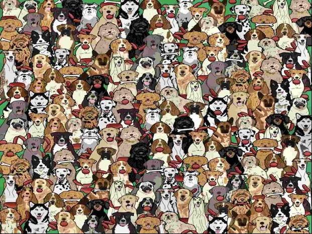 DESAFÍO VISUAL | Intenta encontrar al perro que tiene una ristra de salchichas en la boca dentro de la imagen. | Toff London