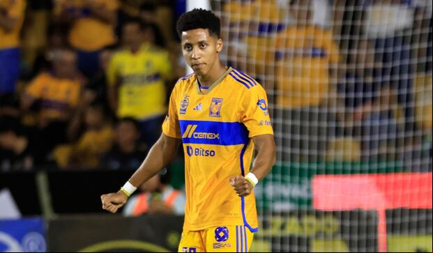 Tigres vs. Santos Laguna (3-2): revisa el resumen, goles y video por la Liga Mx. (Foto: Liga Mx).
