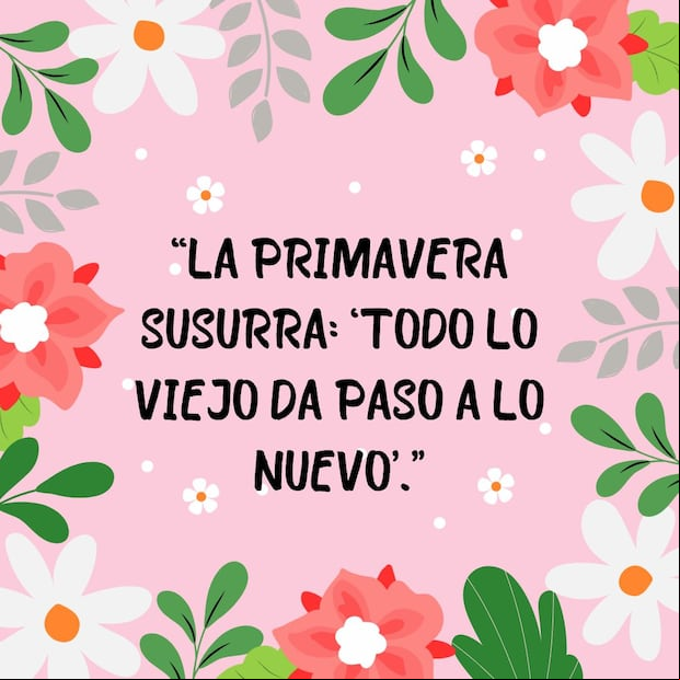 Descubre 50 frases para compartir a tus os y darle así la bienvenida a la primavera este 20 de marzo. (Foto: Composición Mix)