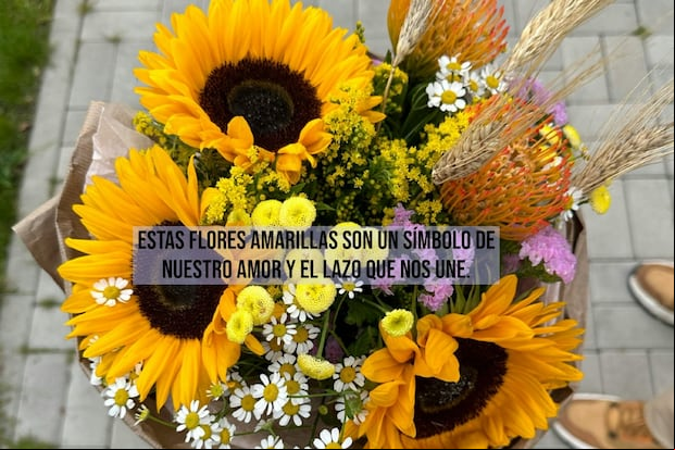 FRASES | Una de estas frases se volverá tu mejor dedicatoria para este 21 de septiembre cuando regales tus flores amarillas. (Foto: Almira en Pexels / Composición Depor)