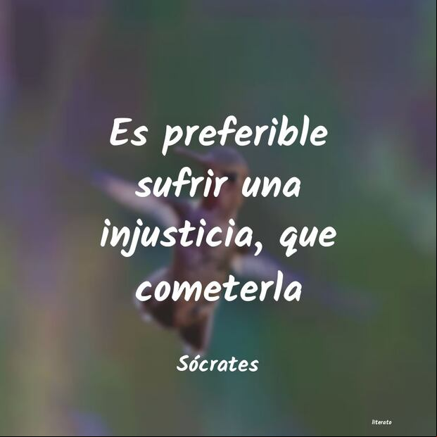 Frases por el Día del Juez mexicano. (Foto: Pinterest)
