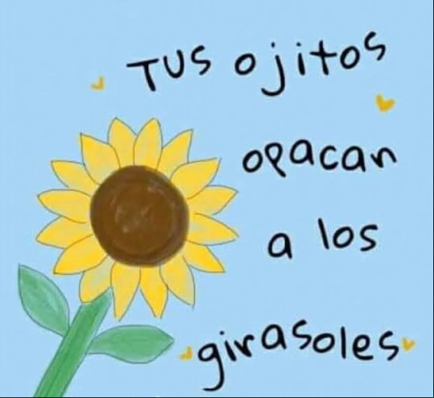 Imágenes de flores amarillas para compartir este 21 de marzo en redes sociales (Foto: Pinterest).