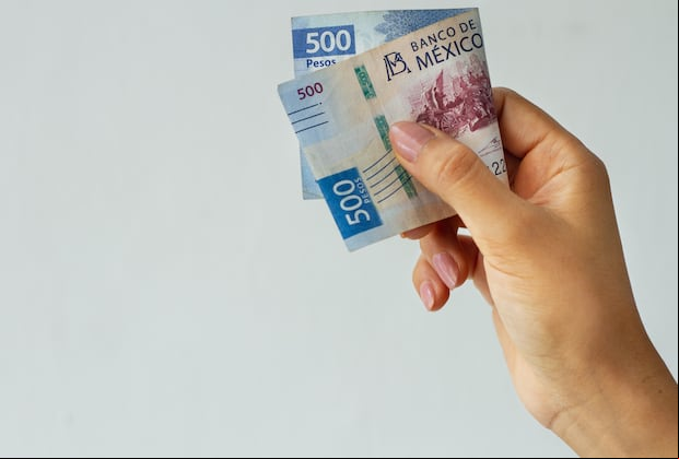 Conoce todo sobre las próximas pensiones que entregará el gobierno. (Foto: Freepik)