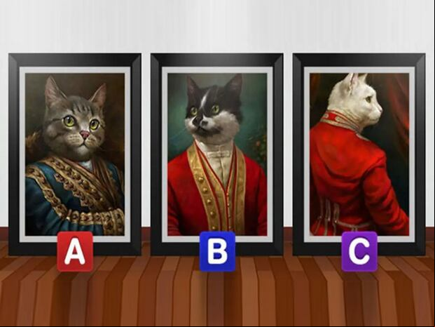 TEST VISUAL | Esta imagen te muestra tres gatos con trajes singulares. ¿Cuál es tu favorito? (Foto: namastest.net)