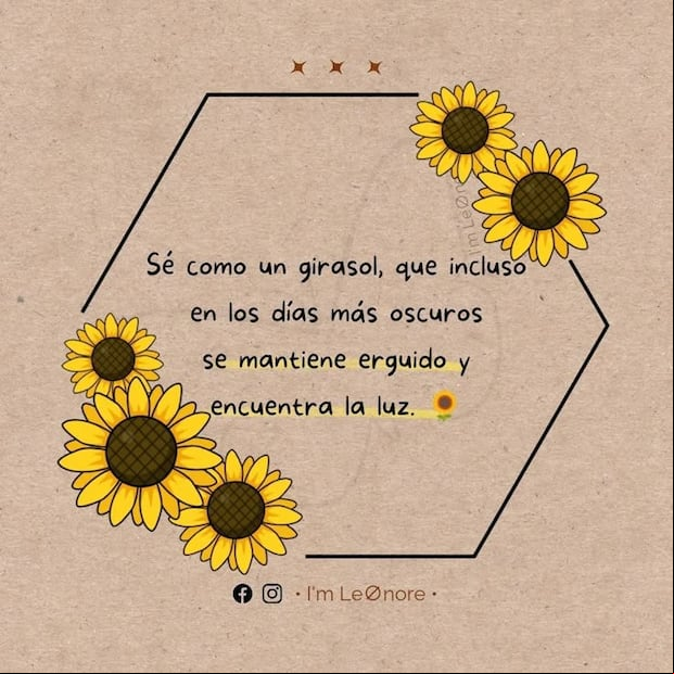 Imágenes de flores amarillas para compartir este 21 de marzo en redes sociales (Foto: Pinterest).