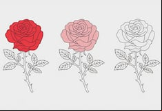 Choose a rose in this image to discover how your love life will unfold in 2025