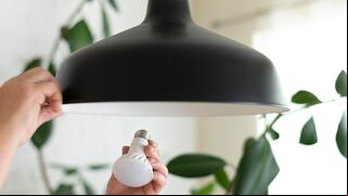 ¿En qué estado entregan $200 para pagar la factura de electricidad y cómo solicitarlo?