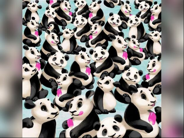 Prueba visual: ¿puedes hallar al pingüino que está escondido entre los pandas en 5 segundos? (Foto: Depor)