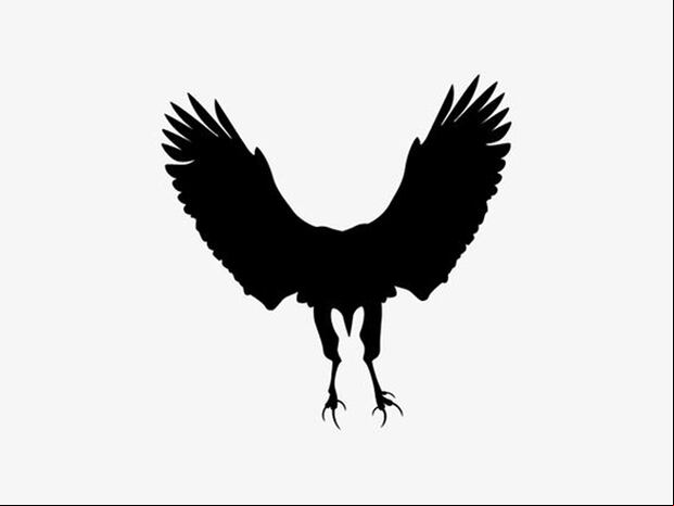TEST VISUAL | Esta ilusión óptica alucinante revela cómo eres realmente en una relación. Todo dependerá de lo que hayas captado primero. | TikTok/mia_yilin