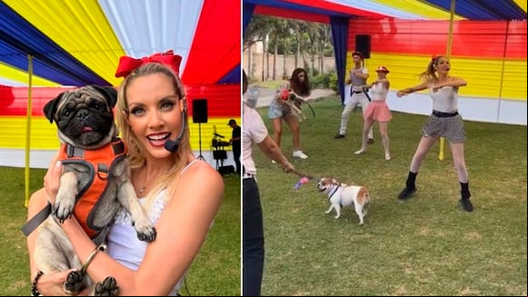 Brenda Carvalho se vuelve viral tras animar la fiesta de un perrito